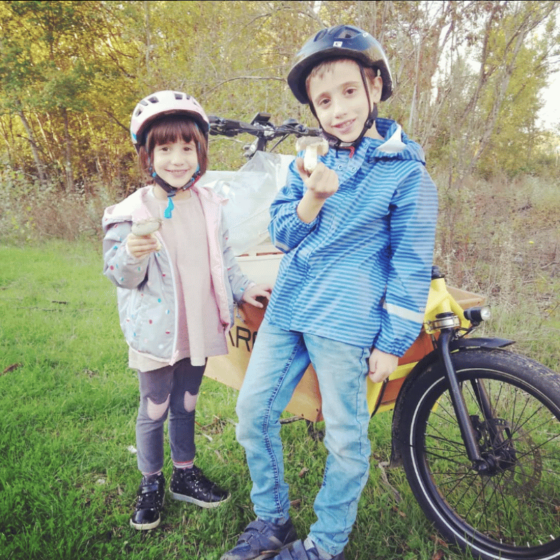 location vélo bcargo